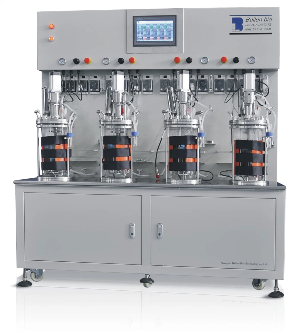 Diagrama Muti-conectado de vidrio industrial lecho empacado biorreactores fermentador