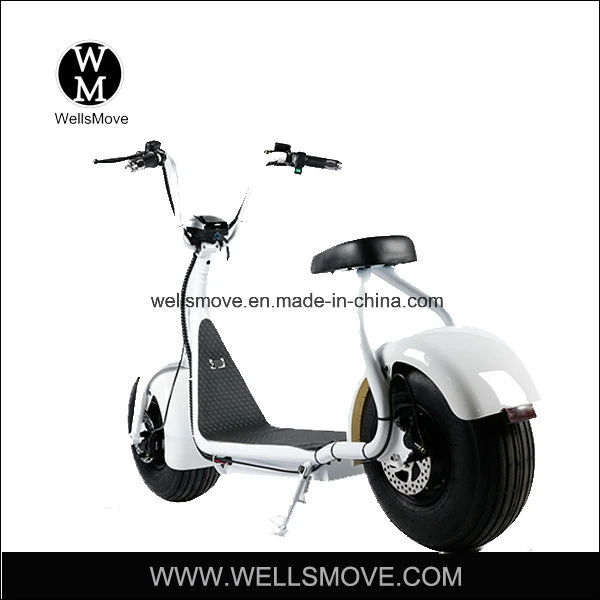 1500W Citycoco/Seev/Wolf/Scrooser Fat Tire Electric Scooter/Harley Electric Motorcycle