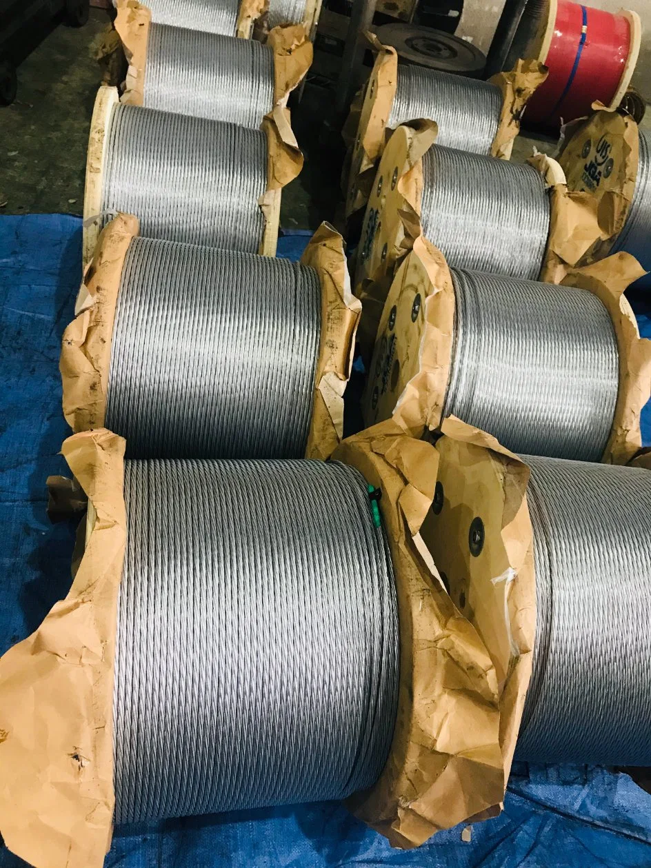 Galvanized Steel Wire Rope Strand Chinese Supplier 1X19-6.0mm