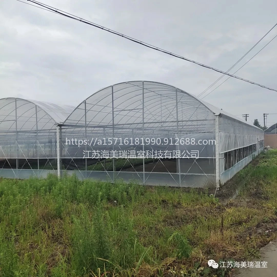 Los materiales de construcción de invernaderos tipo túnel comercial Arch para plantar los melones de miel/cantalupos