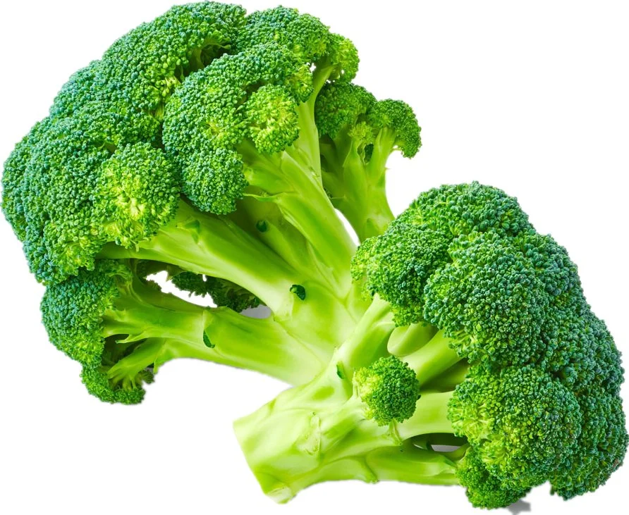 ISO Certification Sulforaphane 1% Sulforaphane 10% CAS 4478-93-7 Broccoli Extract