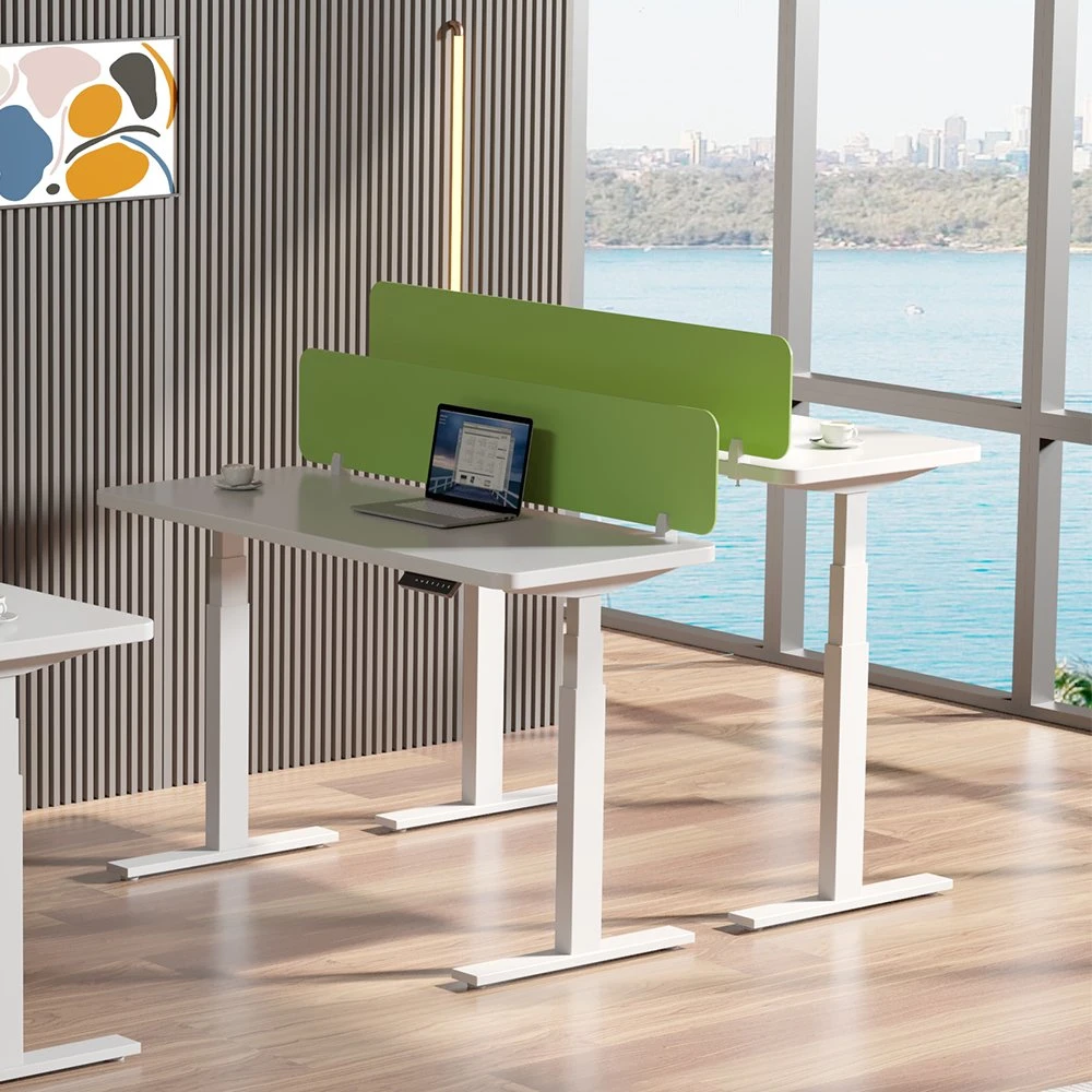 Modern Ergonomic Office Furniture Executive Tables Dual Motor Stand up Study Table Standing Desk Home Living Room Furniture Intelligent Height Adjustable Desk