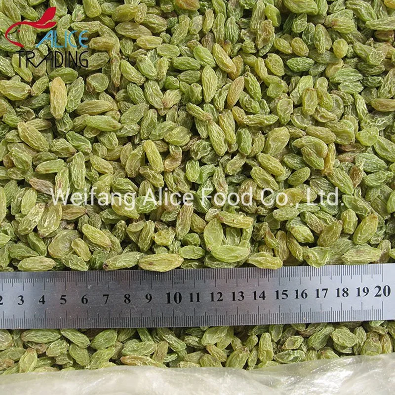 Good Tasting China Origin Dried Green Raisin Long Shape