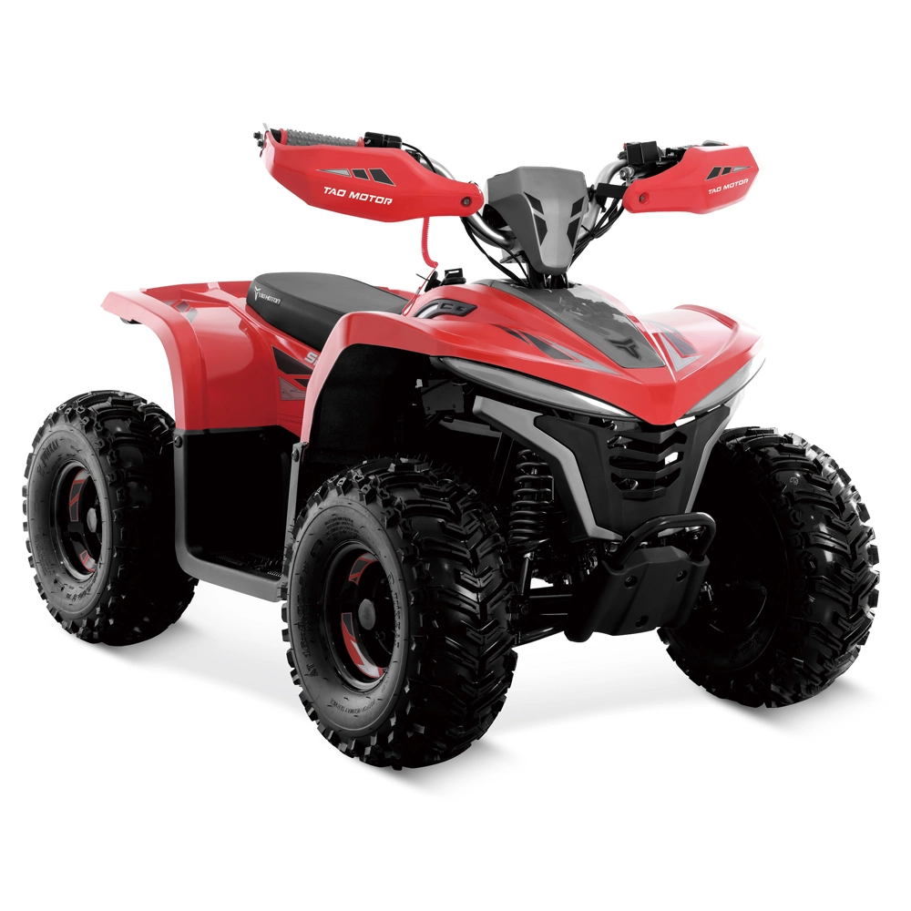 Bicicleta eléctrica ATV bicicleta de cuatro ruedas ATVs eléctrico Quad