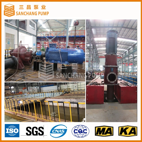 Circulation Pumps Used for Mining, Irrigation, Power Station or Fire Fighting