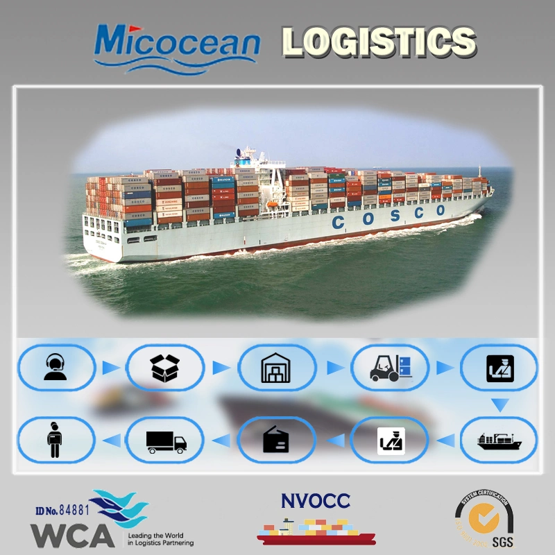 Consolidation International Logistics Shipping From Guangzhou/Shanghai/Shenzhen/Ningbo to Callao, Peru