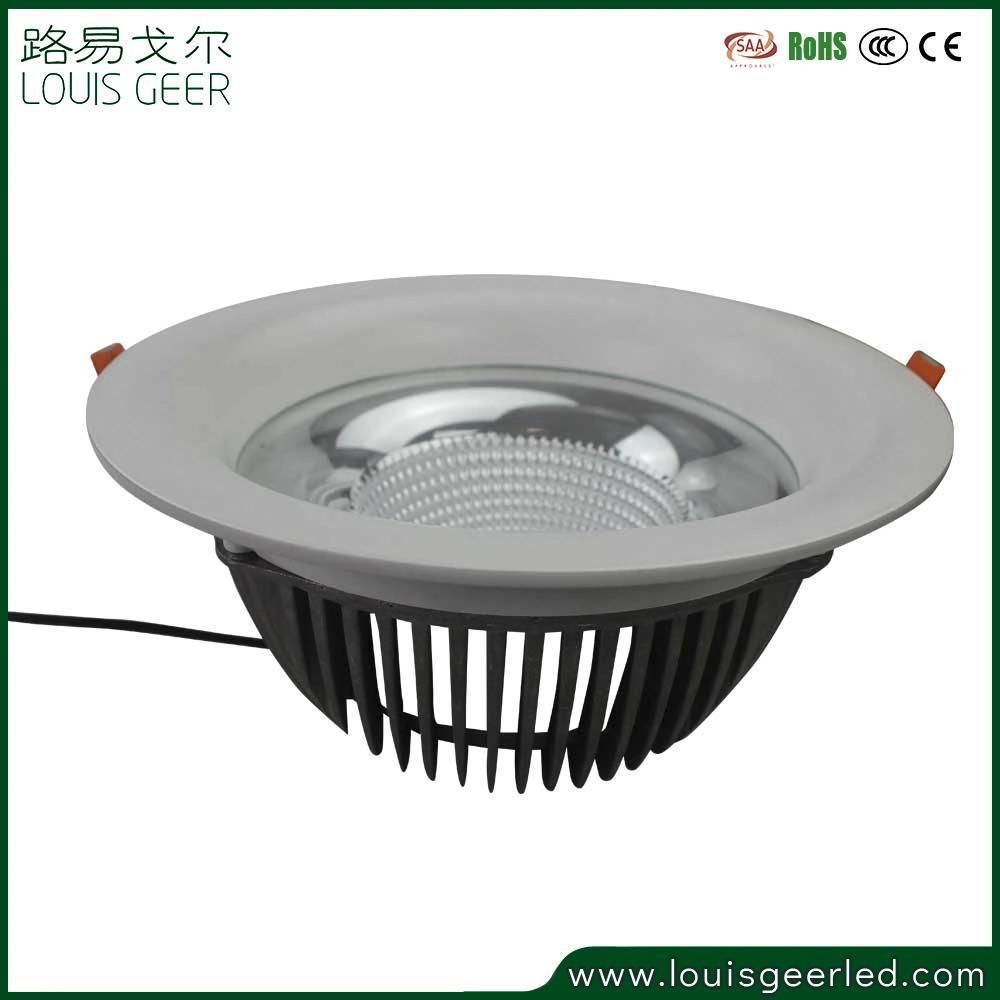 2020 New Arrivals 15 Watt ABS Cover Downlight Hot Product 2020 Manufacture Recessed LED Down Light