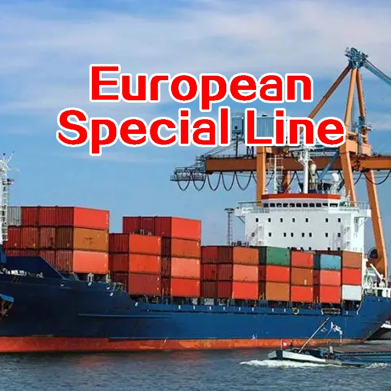 Компания Faster Sea Freight Shipping Forwder Company из Китая в Уксембур, Дания, Ирландия DDP в Door Service