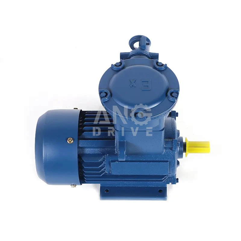 Anti Explosion Proof Electrical Engine High Low Voltage Flameproof China Manufacturer Price AC Electric Motor