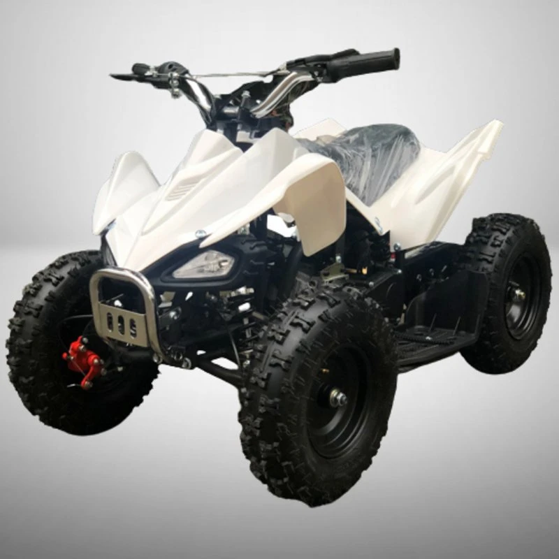 Heißer Verkauf CE guter Preis 49cc Fahrrad ATV Quad