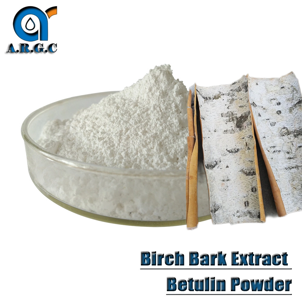 Factory Supply Birch Bark Extract Betulin Powder/Betulin Extract/Betulin