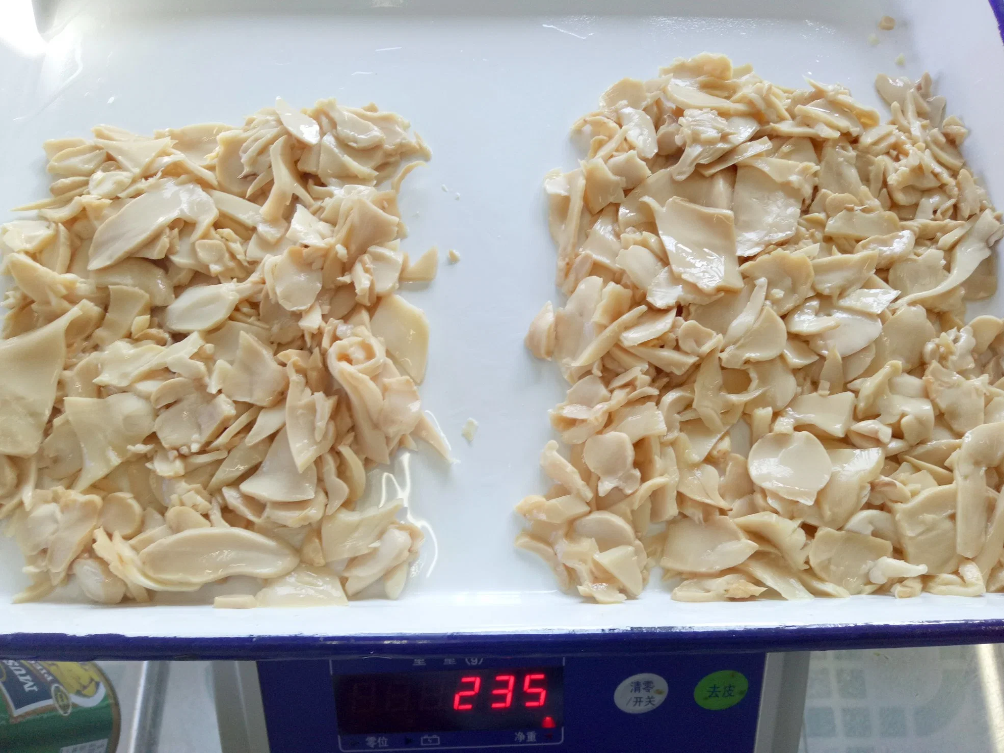 Health Food Canned Oyster Mushroom with Private Label