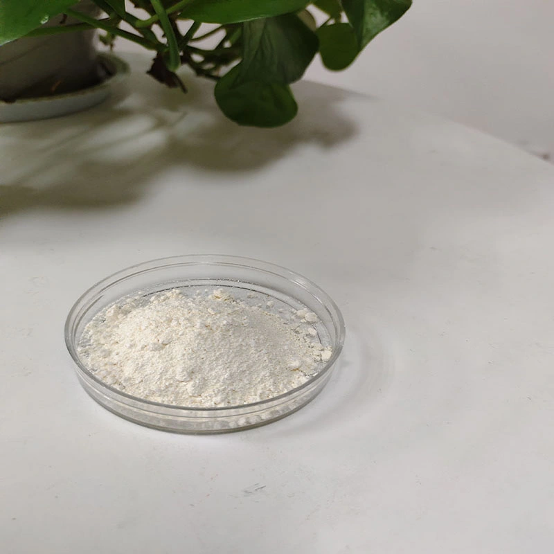 Natural 7681-93-8 95% Pimaricin Natamycin Food Additive Food Chemical