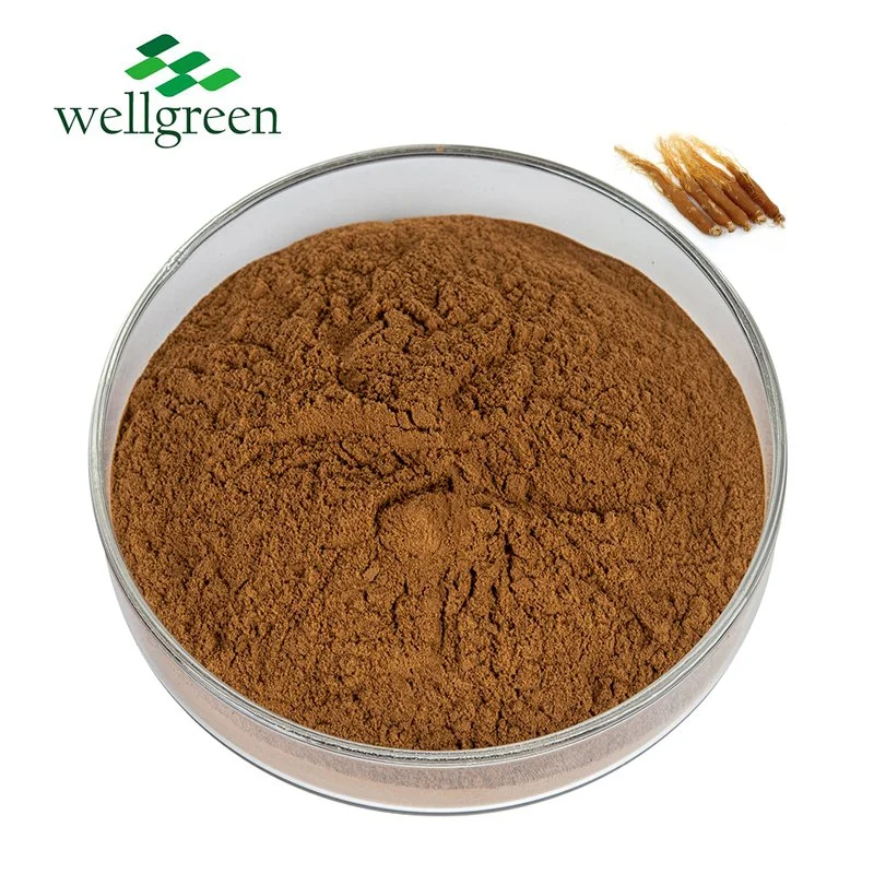 Supplément santé naturelle renforcer l'immunité améliorer le sommeil améliorer l'endurance physique Ginsenoside Red Ginseng extrait