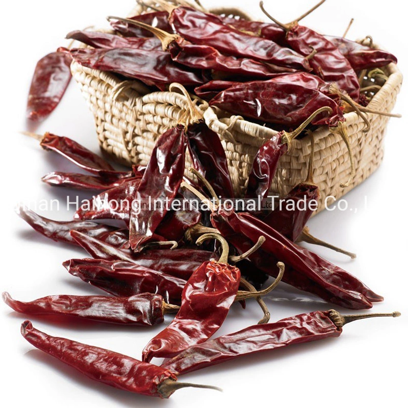 Piment rouge entiers déshydratés en Chine