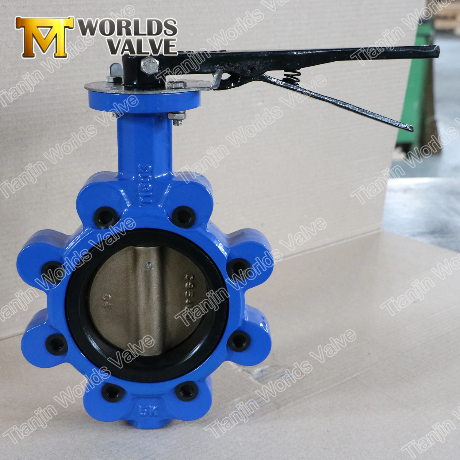 Ggg40 Ggg50 EPDM NBR Sealing Full Lugged Butterfly Valves Ss Body and Disc