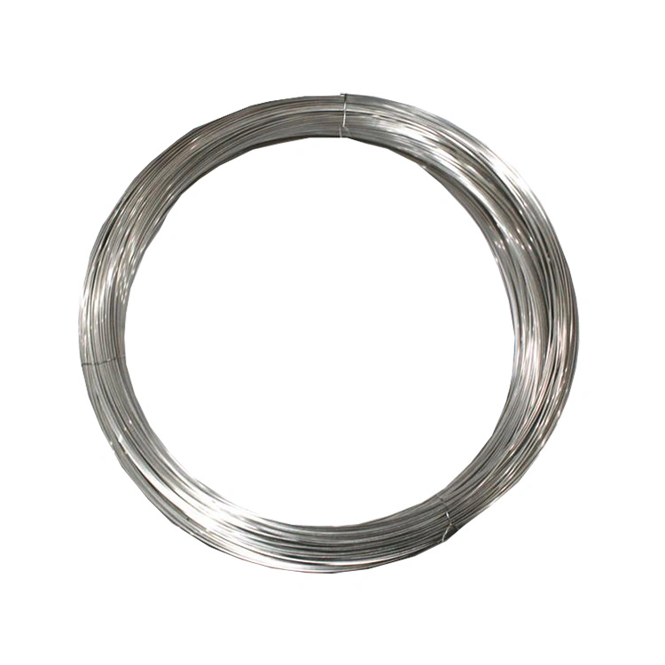 Factory Direct Sale Hot DIP Galvanized Wire/Steel Wire/Spring Wire/Stainless Steel Wire for Binging Metal Wire