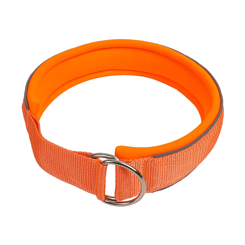 Petisland pas étouffer le collier de PET en gros de produits pour animaux de compagnie Prix d'usine de formation de chien personnalisé Collier Collier pour chien en nylon avec doublure matelassée en néoprène