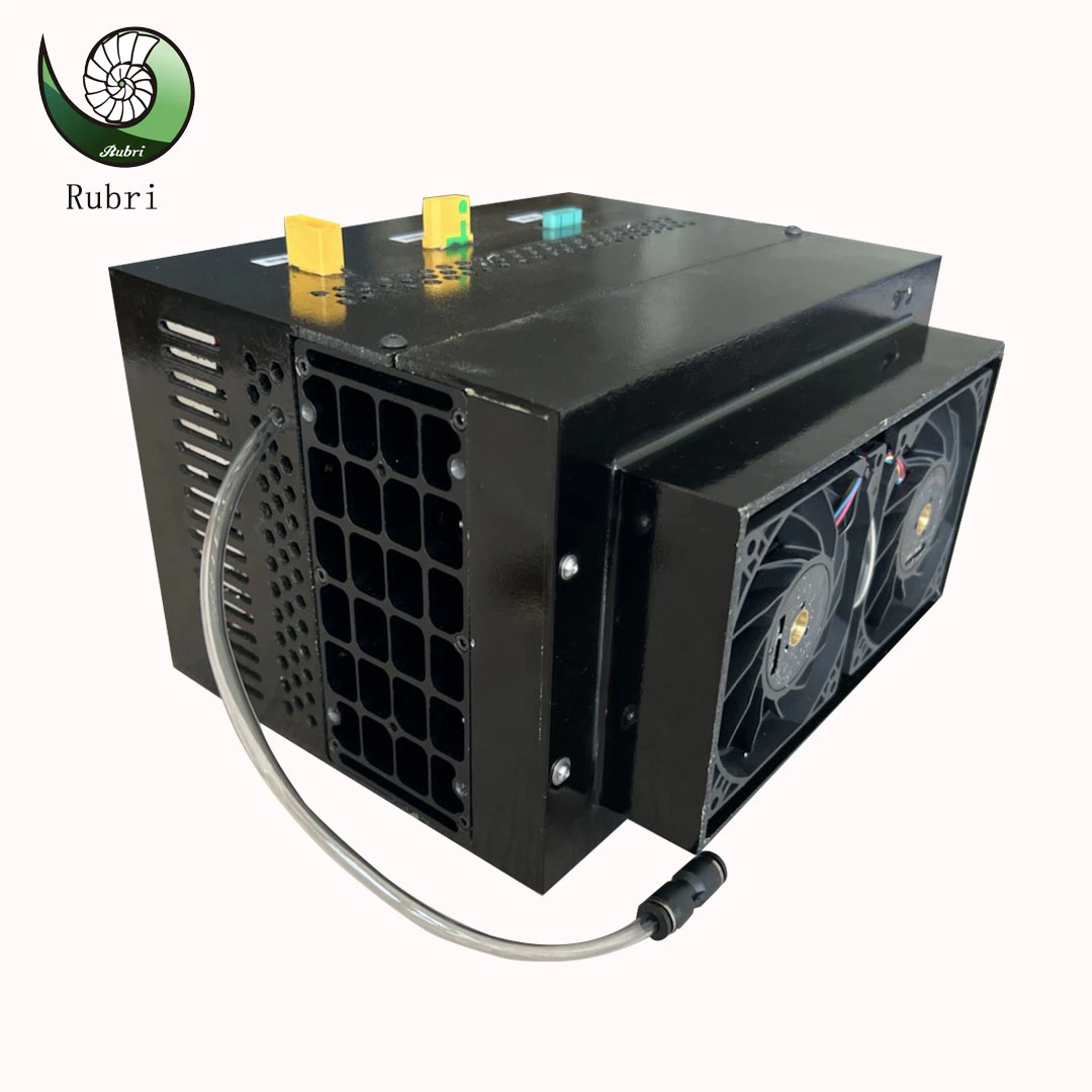 100W 200W 300W 500W Backup Power Air Cooled Hydrogen Fuel Cell System