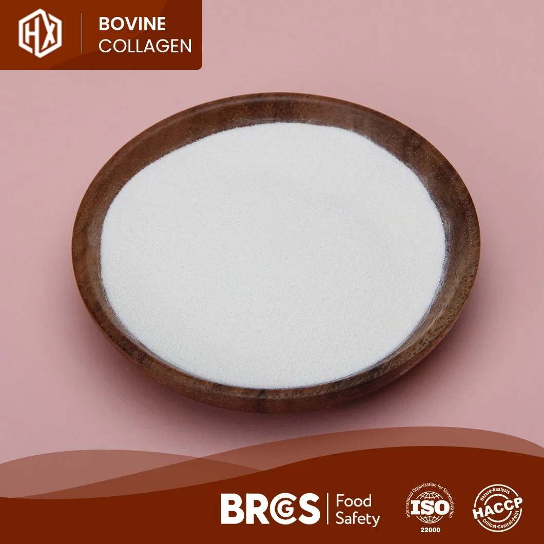 Haoxiang Bulk Pure Natural 90% Protein Powder Food Grade Bovine Skin Collagen Powder China Manufacturers High-Purity Hydrolyzed Bovine Hide Collagen Peptides