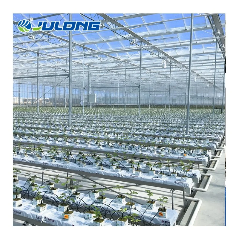 Smart Vertical Hydroponics Farm Tomato Cucumber Pepper Vegetable Greenhouse Price