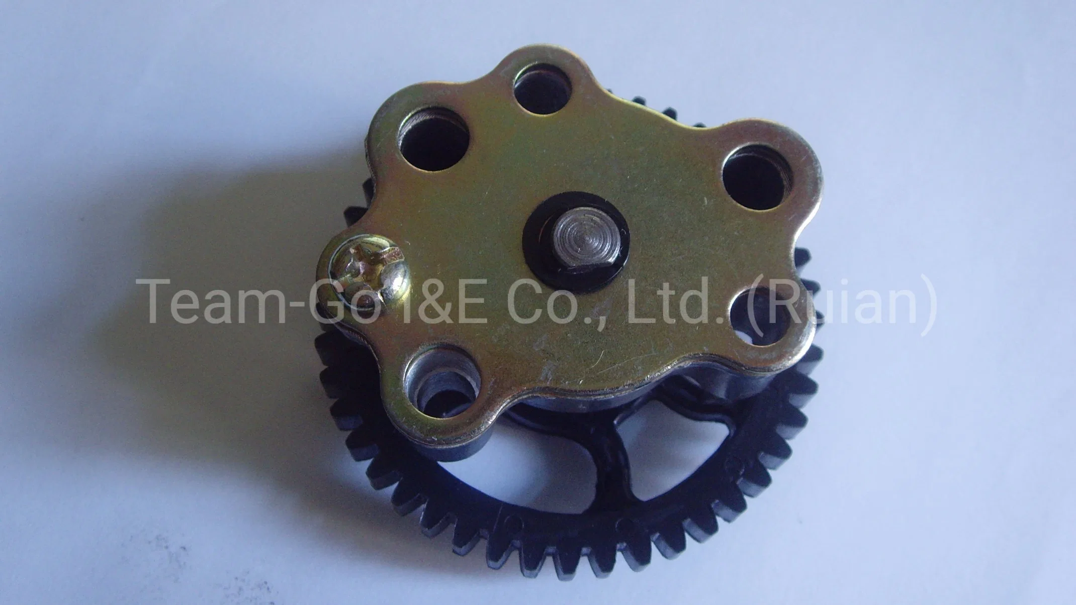 Tricycle Spare Part Oil Pump Baj205/Re45 with Competitive Prices and a Class Quality