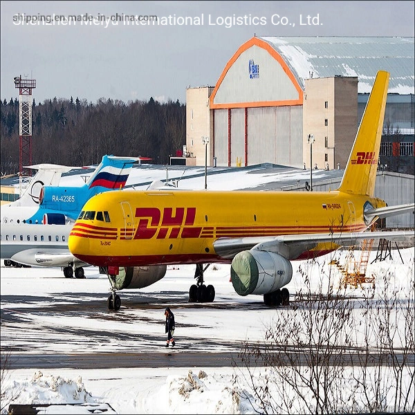 Reliable DHL Shipping Agent Air Shipping From China to New Zealand