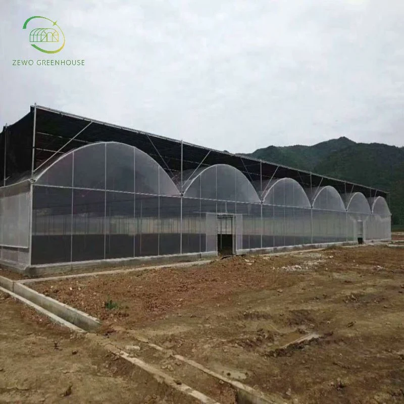 Multi-Span Arch Tipo de película invernadero con sistema de Fresa Hydroponic