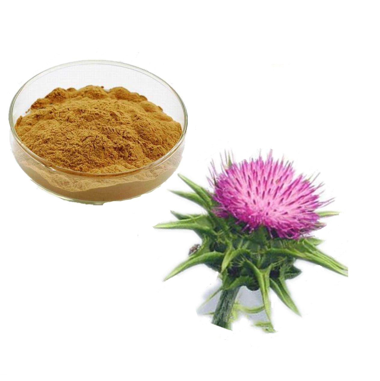 Health Care Milk Thistle Seed Extract Silymarin 80%, Silybin and Isosilybin 30% Powder