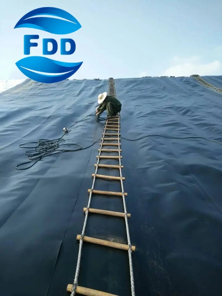 FDD 40mil 60mil 80mil HDPE Smooth/Textured Geomembrane, HDPE Sheet for Landfill/Shrmp/Dam/Biogas Project