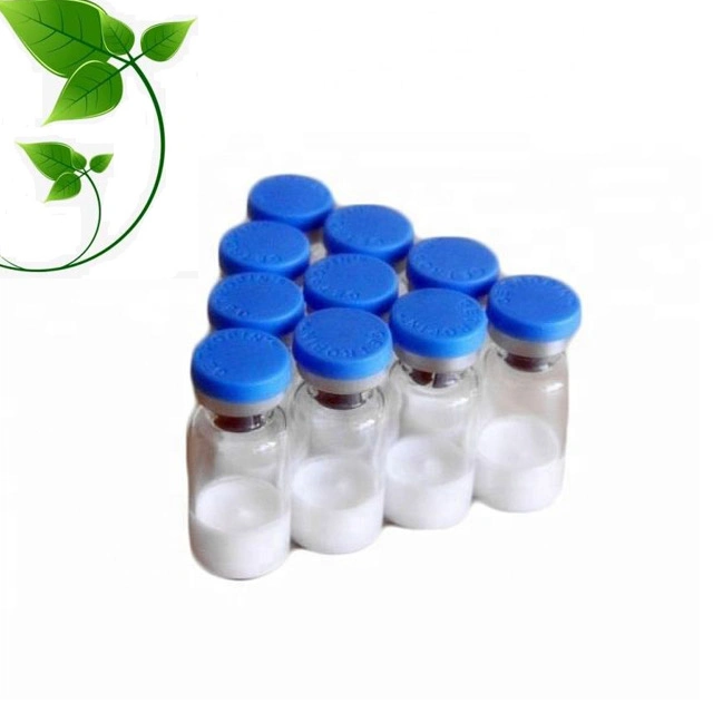 Hot Selling High quality/High cost performance  L-Theanine CAS 3081-61-6 with Competitive Price