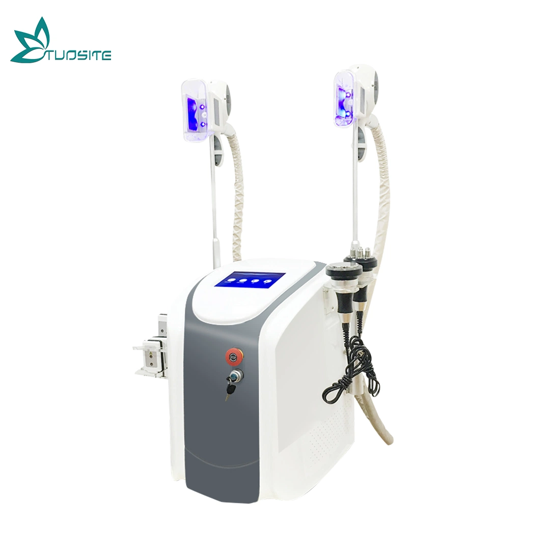 Lose Weight & Cryolipolysis Vacuum Beauty Machine