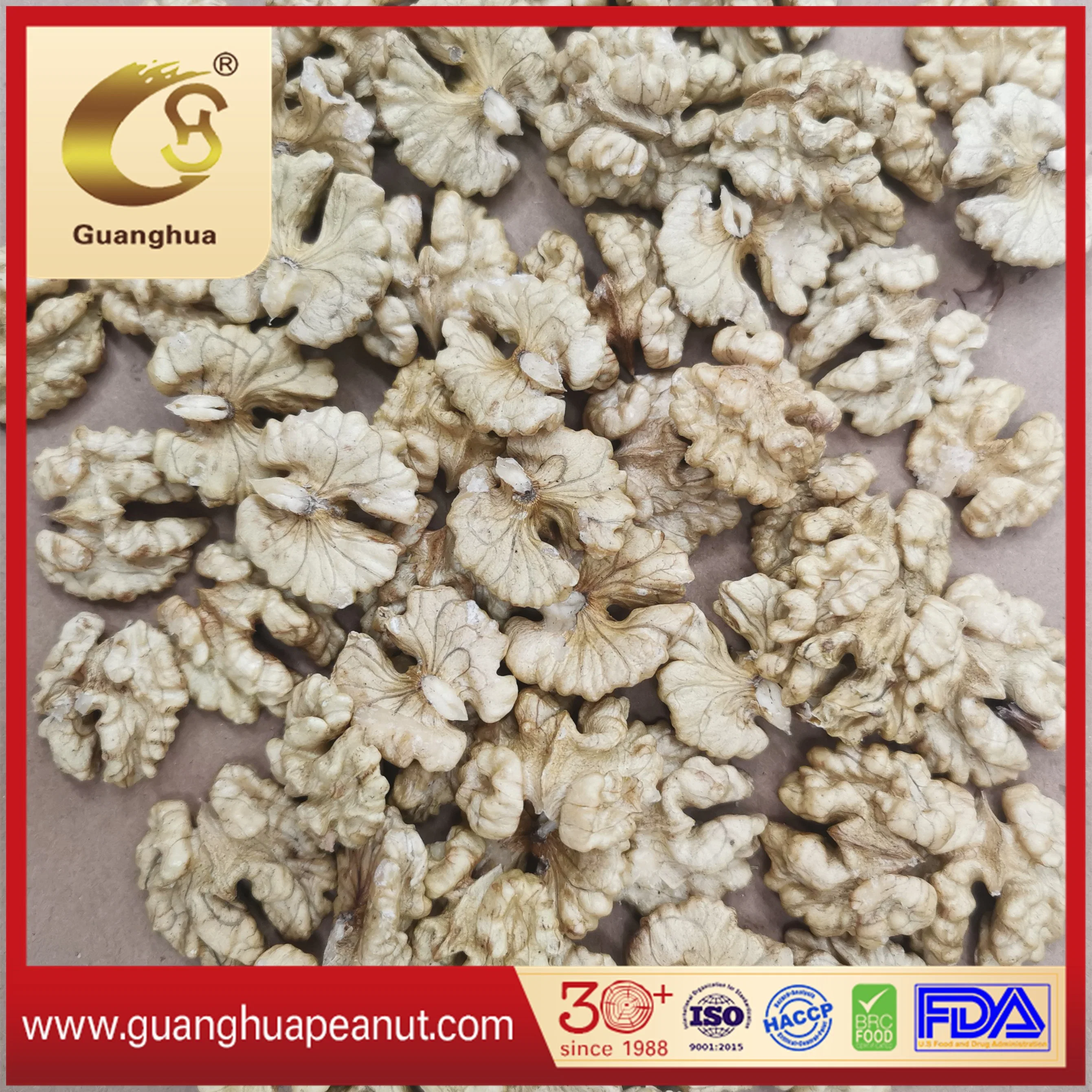 Walnut in Shell Extra Quality Papery Healthy Delicious Tasty Cheap New Crop