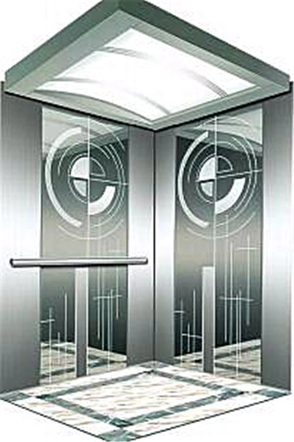 FU JI APSL Vvvf Passenger Sightseeing Traction Lift Elevators