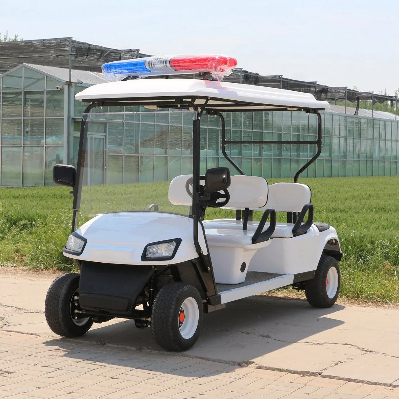 China 4 Passengers Electric Golf Vehicle with Alarm Light