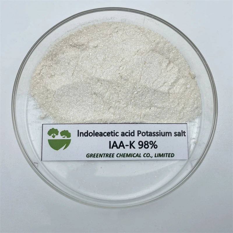 CAS 2338-19-4 Regulador de la planta de Auxin ácido Indoleacético SAL de potasio IAA-K 98%