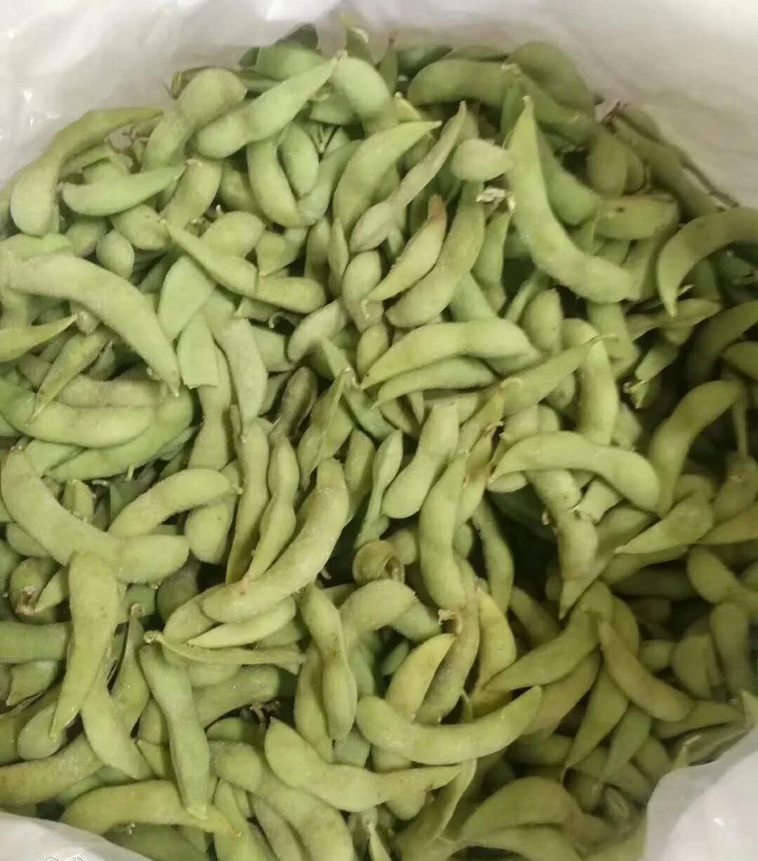 Edamame surgelé de haute qualité, IQF Edamame Pods, a bombardé Edamame de Chine