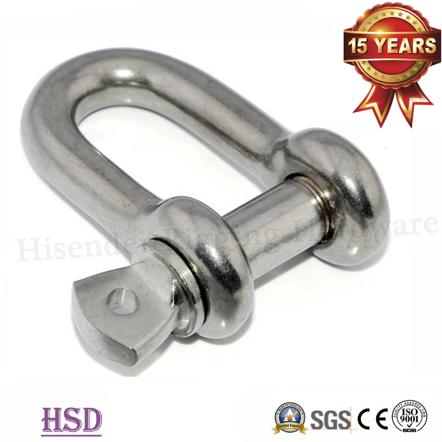 Rigging Stainless Steel304/316 European D Type Shackle for Lifting