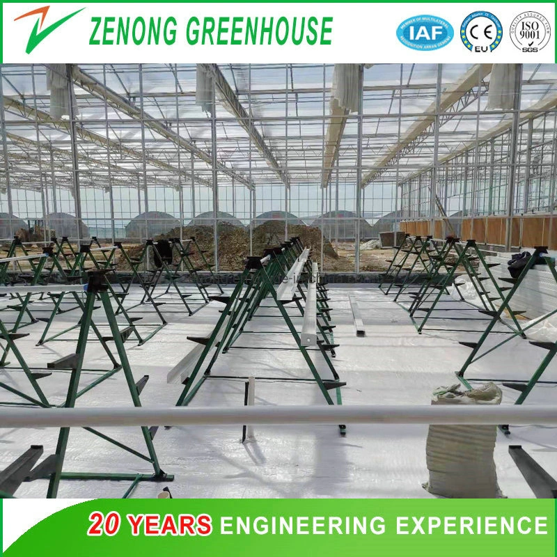 Easy Installation and Transportation Vertical a-Style Frame with PP/PVC Channels for Greenhouse Hydroponice