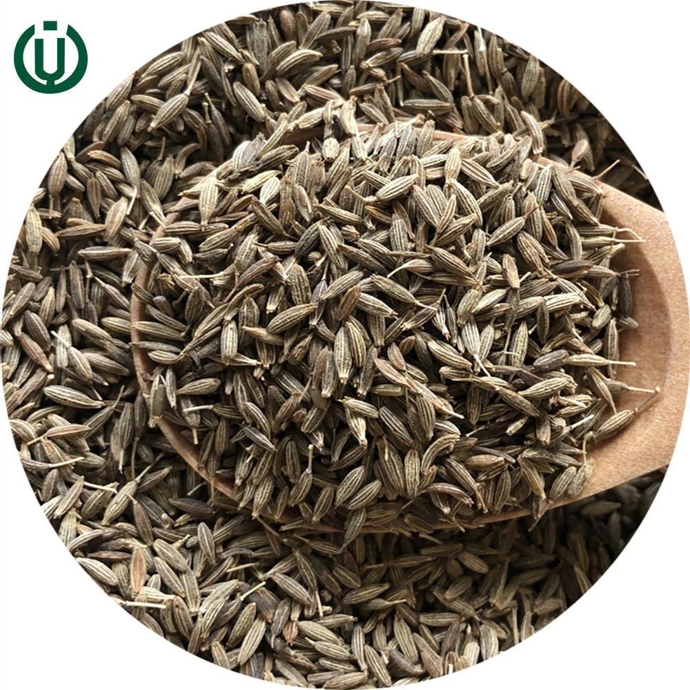 High quality/High cost performance Nature Cumin Seeds Wholesale/Supplier Spices