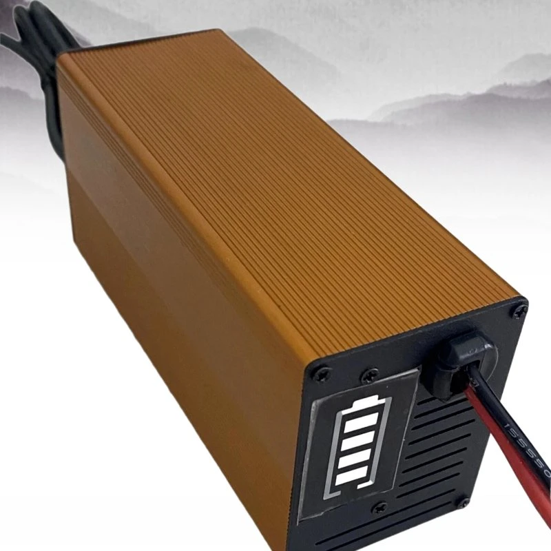 12.6V-8A Customized Lithium Ion LiFePO4 Battery Charger