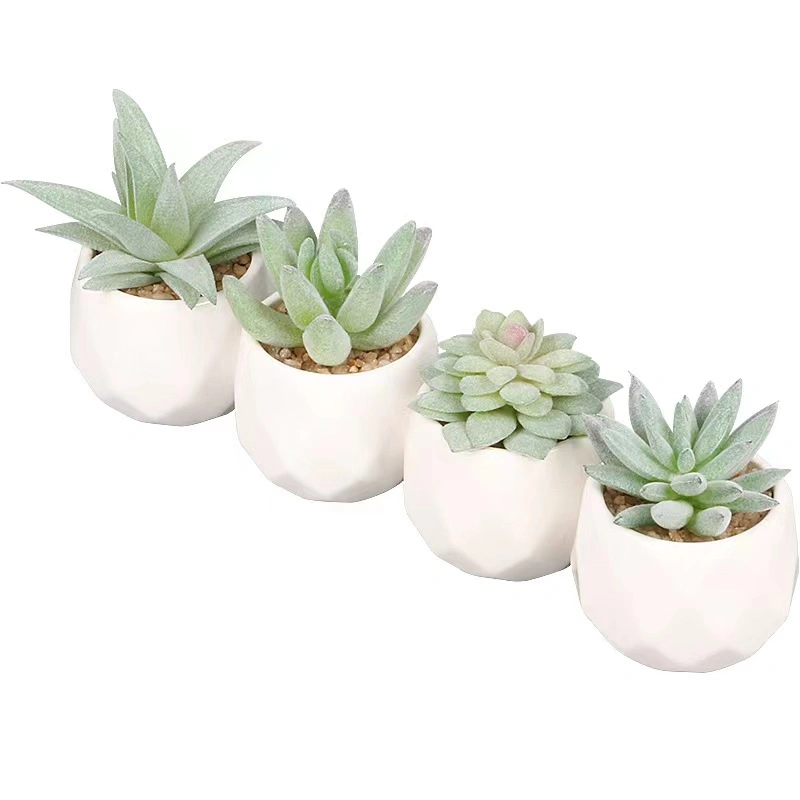 Artificial Succulents Plant Creativity Flower Pot for Home Decor