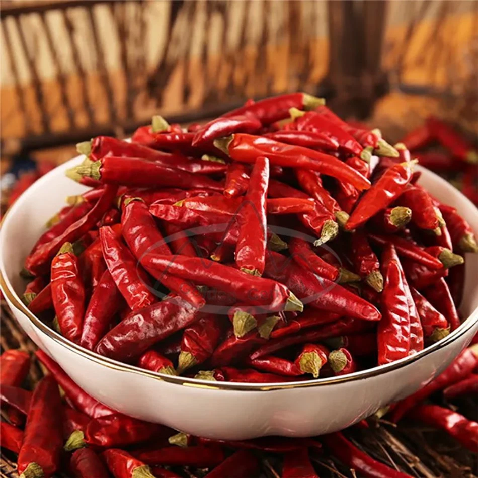 Los cultivos orgánicos secos picante Chili Super Hot en el extranjero de exportación