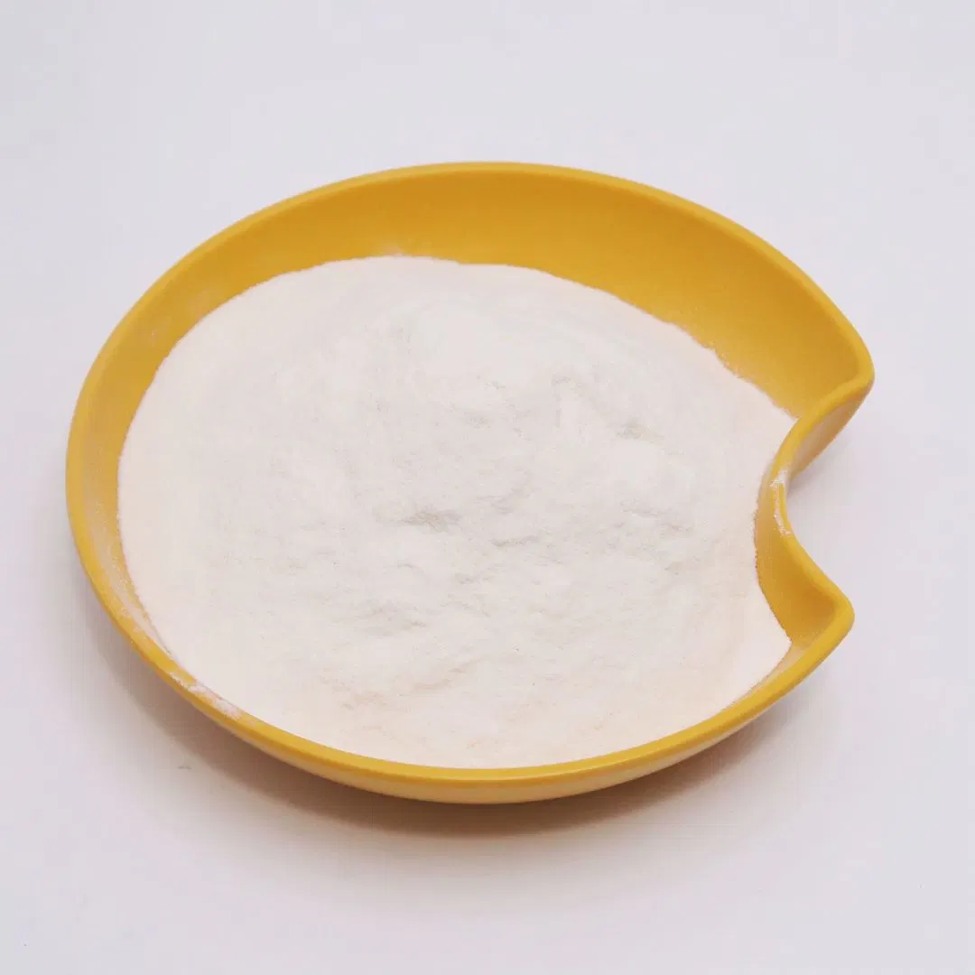 98% High Purity Powder Coating Raw Material HPMC Daily Chemicals