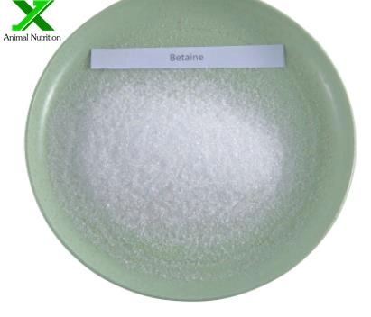 Wholesale/Supplier Bulk CAS107-43-7 Glycine Betaine Powder