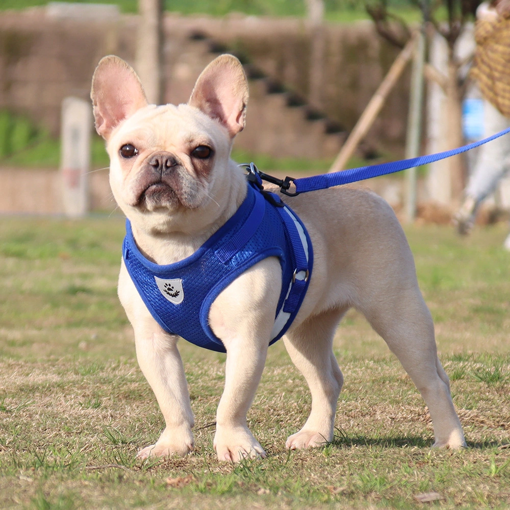 Jeu de harnais PET sans tirer poignée de commande extérieure sécurité réfléchissante Harnais pour chiens réglables Arnes PARA Perro pour animaux de compagnie