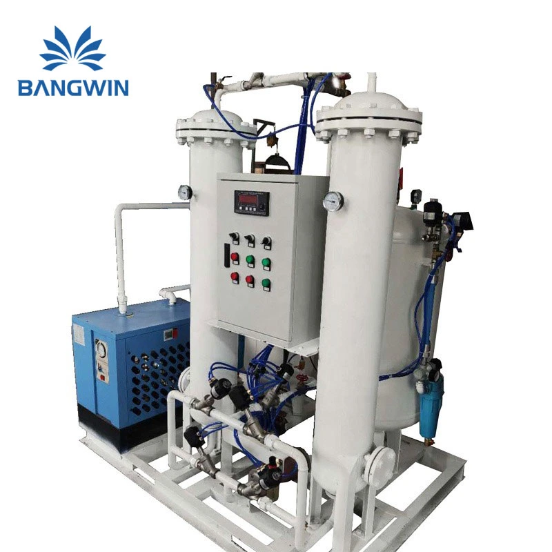 Bw Gas Nitrogen Generator for Food Packaging