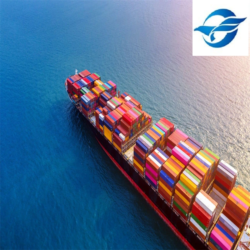 International Sea Freight Shipping Company with Freight Forwarder