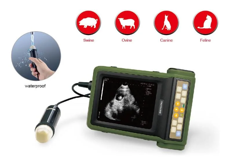 Produtos médicos scanner de ultra-som portátil com bateria de lítio recarregável no domínio veterinário