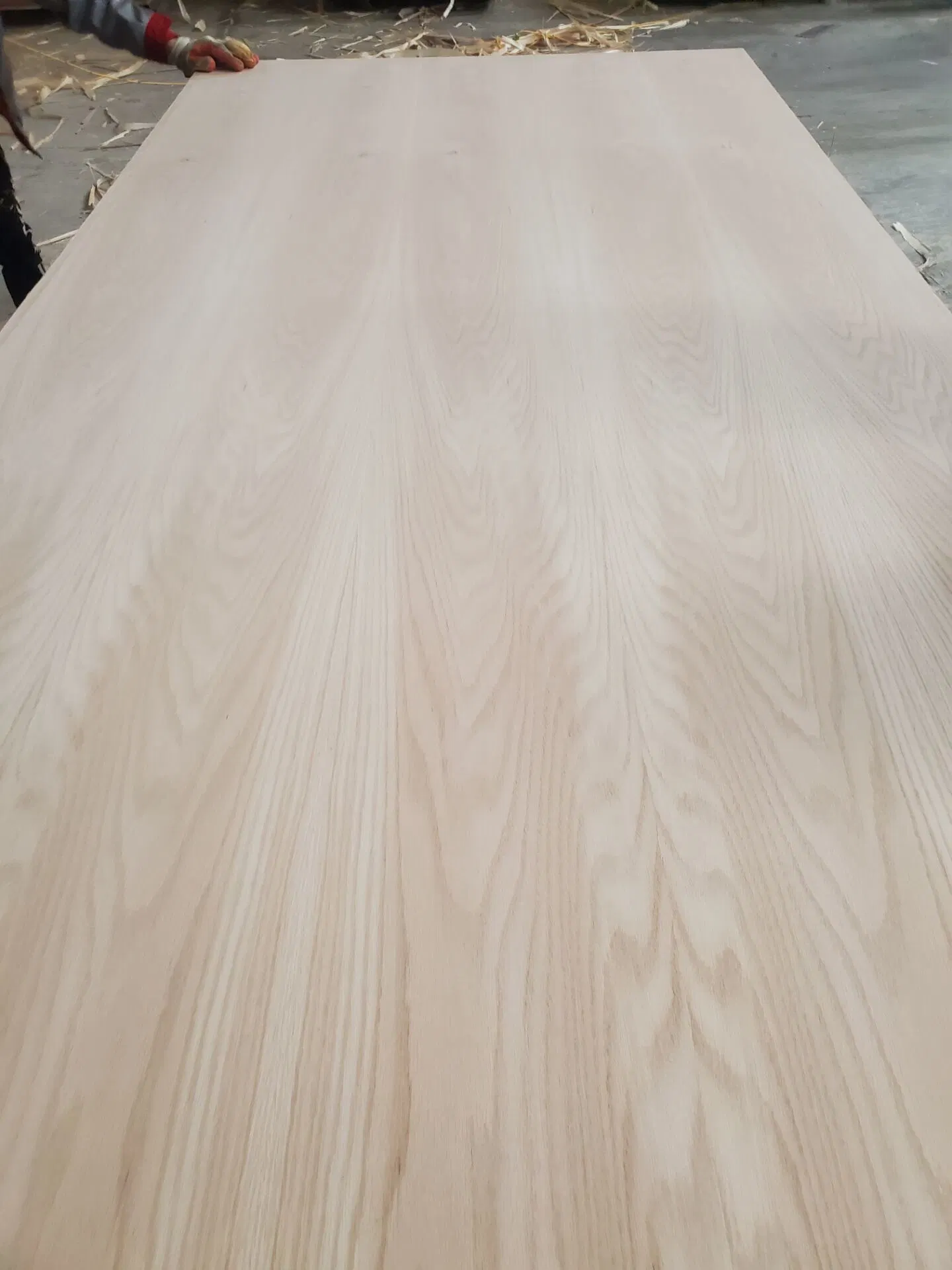 Good Quality Poplar Core Commercial Plywood for High Grade Furniture Produce